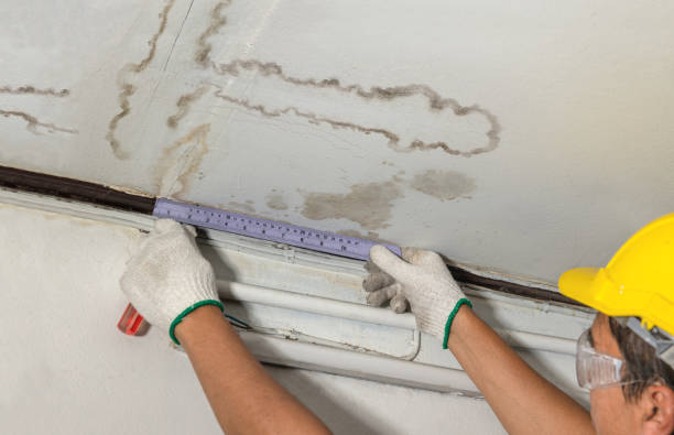 Reliable Water Damage contractor in Dover, MA by Water Damage Irwin